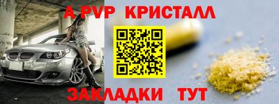 ешки Ставрополь